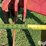 case-ih-10-image-13