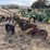 john-deere-no.-44-pull-type-two-bottom-plow-image-3