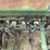 john-deere-8300-image-12