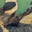 john-deere-three-point-three-bottom-plow-image-20