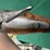 browning-o/u-12ga-shotgun-image-21