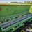 john-deere-lz812-image-11