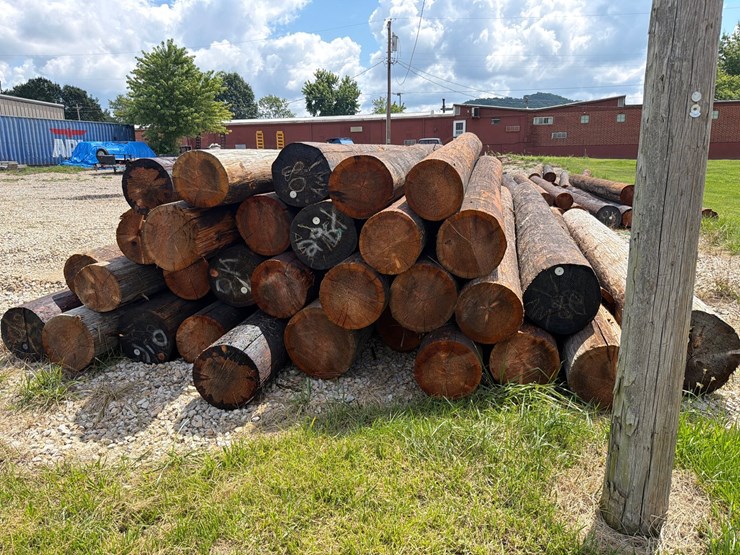 #25029-•-30--telephone-poles-image-4