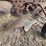 john-deere-no.-44-pull-type-two-bottom-plow-image-12