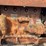 oliver-80-image-22