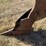 john-deere-three-point-three-bottom-plow-image-23