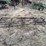 11-foot-spike-tooth-harrow-image-1