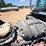 2010-kenworth-t800-image-37