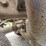 2007-kenworth-t2000-image-104