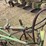 john-deere-pull-type-four-bottom-plow-image-8