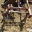 international-412-image-14
