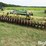 john-deere-340-image-7