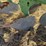 john-deere-three-point-two-bottom-plow-image-12