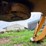 2007-john-deere-110-image-89