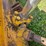 caterpillar-d5-image-83