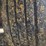 #24842-•-2019-bravo-enclosed-trailer-image-49