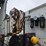 2010-freightliner-m2-106-image-74