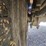 2007-freightliner-m2-106-image-66