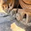1994-caterpillar-953b-image-70