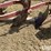 international-412-image-10