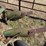 john-deere-three-point-two-bottom-plow-image-16