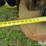 2017-sunflower-1436-27-image-19
