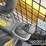 2016-caterpillar-262d-image-22