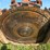 2015-caterpillar-521b-image-86