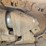 2019-caterpillar-d6-image-84