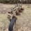 john-deere-pull-type-four-bottom-plow-image-4