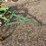 john-deere-pull-type-three-bottom-plow-image-9