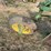 john-deere-pull-type-three-bottom-plow-image-24