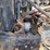 2002-mack-rd688s-image-81