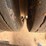 2016-king-load-image-67