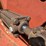 hesston-1110-image-19