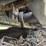 2019-caterpillar-320-image-69