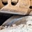 1992-caterpillar-d8n-image-58