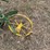john-deere-one-bottom-plow-image-12