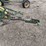 john-deere-pull-type-two-bottom-plow-image-8