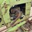 john-deere-l-image-23