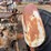 ford-9n-image-31