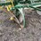 john-deere-two-row-planter-image-8