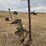 john-deere-sickle-bar-mower-image-5