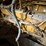 caterpillar-3406e-diesel-engine-image-5