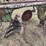 john-deere-pull-type-four-bottom-plow-image-13