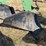 john-deere-three-point-three-bottom-plow-image-12