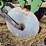 john-deere-three-point-two-bottom-plow-image-18