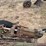 john-deere-pull-type-four-bottom-plow-image-13