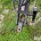 dmi-tiger-image-9