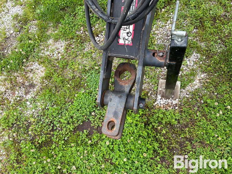 dmi-tiger-image-9